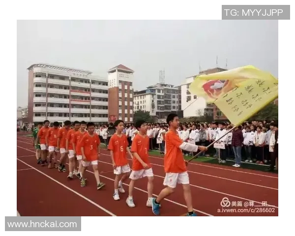中国足球电视剧：激情与梦想交织的绿茵传奇与人生启示